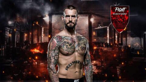 CM Punk quanti soldi ha guadagnato in UFC?