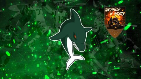 Intervista a Kristian Giardinieri, LB dei Dolphins Ancona