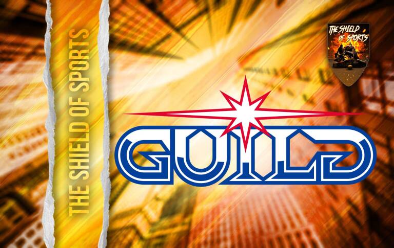 Charyy entra ufficialmente nei Guild Fortnite, a 16 anni