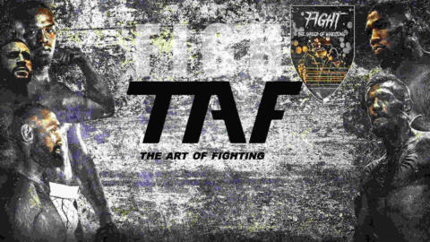 TAF 8 - Card, info, streaming e come vederlo