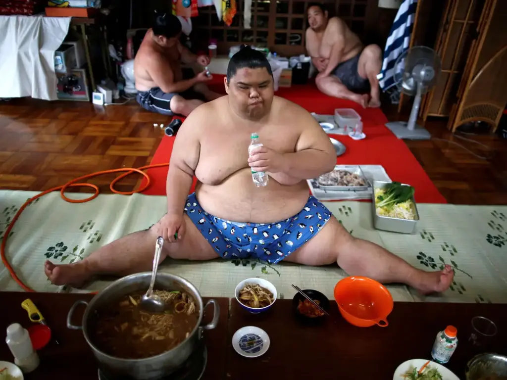Guida completa al sumo tra regole, tornei e tradizioni Guida completa al sumo tra regole, tornei e tradizioni