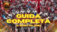 Guida completa al sumo tra regole, tornei e tradizioni
