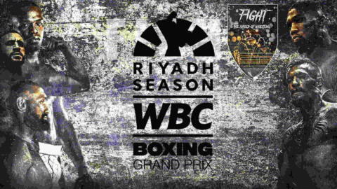 Giovanni Sarchioto sconfitto da Molodan al WBC Grand Prix