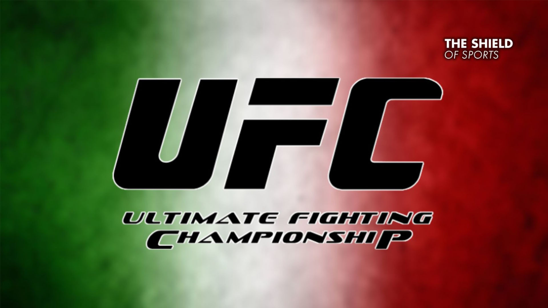 La UFC arriva in Italia a Torino nel giugno 2027